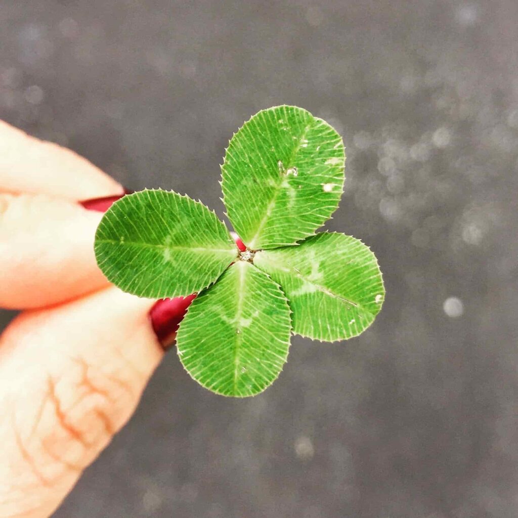 do you feel lucky simone van neerven